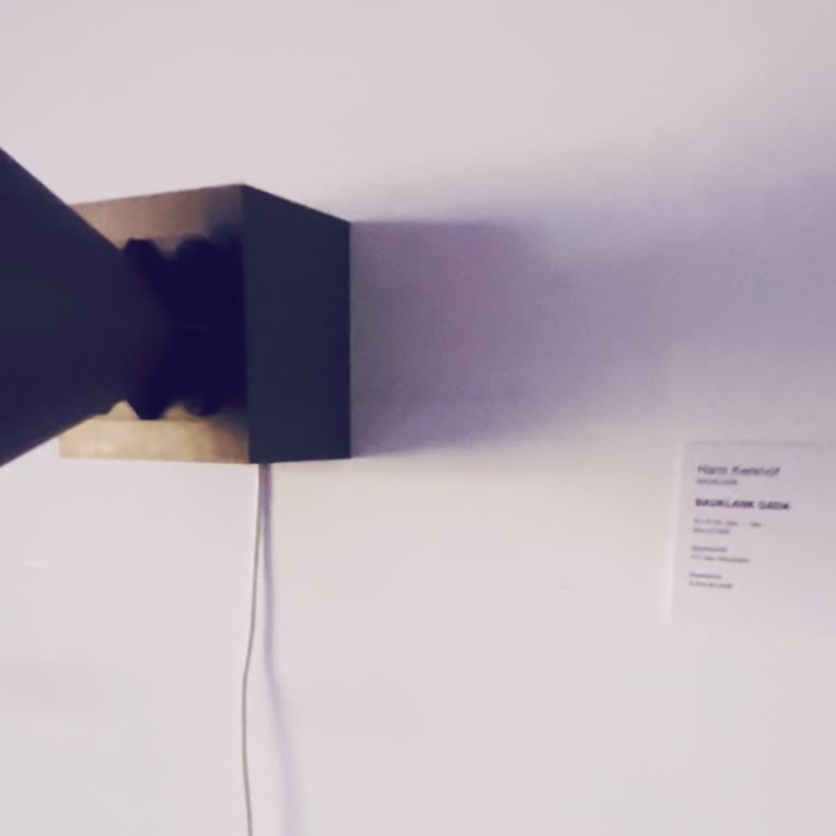 Video 1