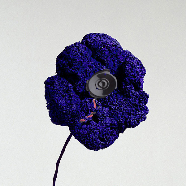 Blue Sponge cover image